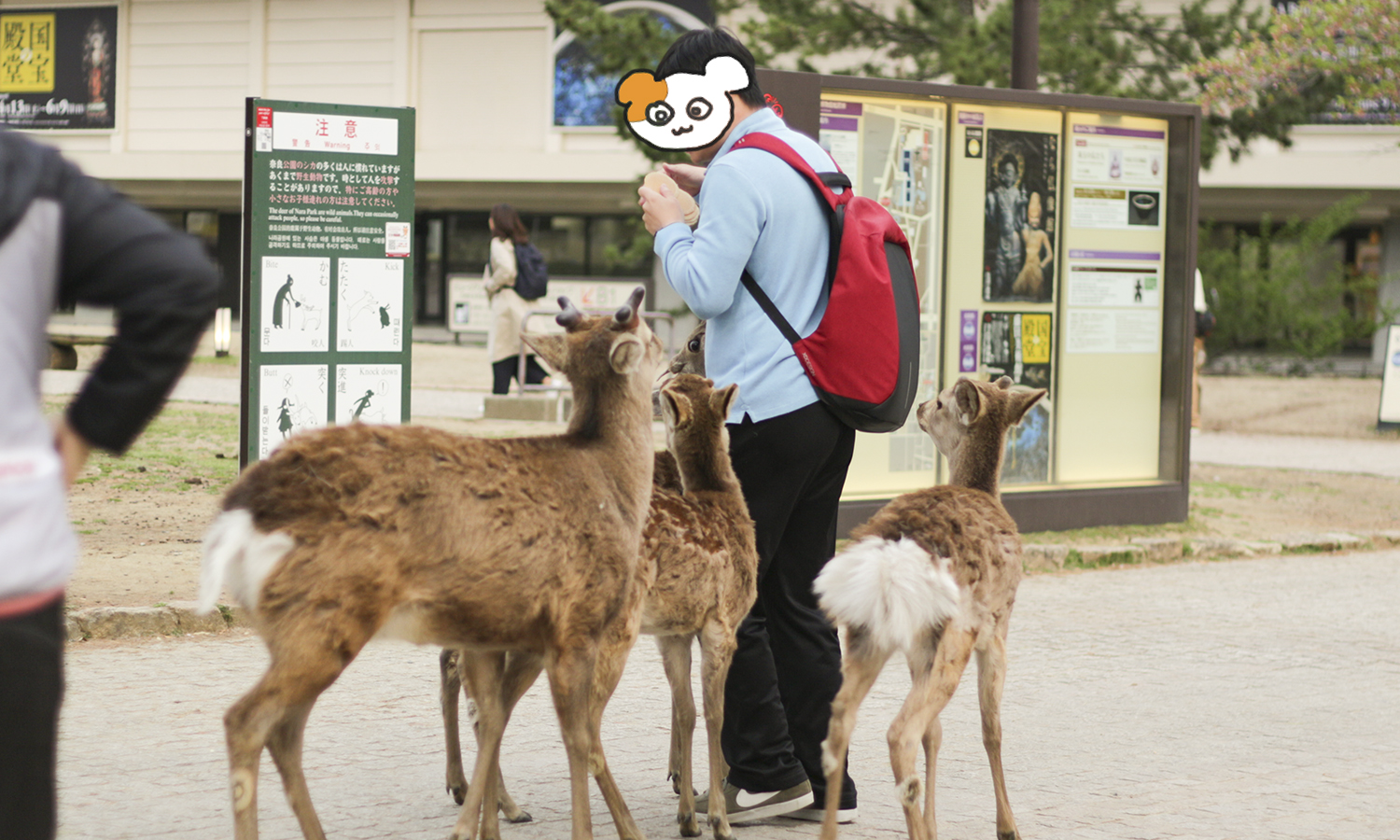 일본여행, 나라여행, 나라사슴공원