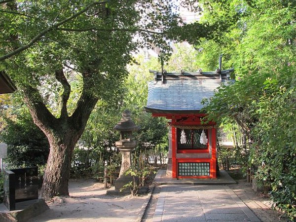 고베 이쿠타 신사 스기노키