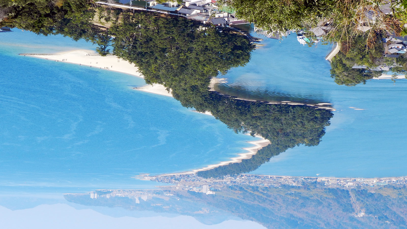 아마노하시다테 용 모양