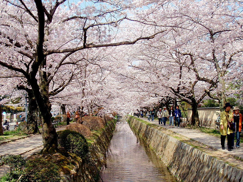 교토 철학의 길