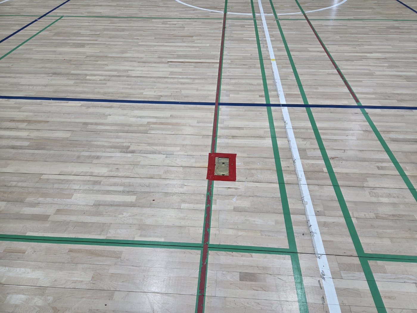 2f7311cec3d54.jpg