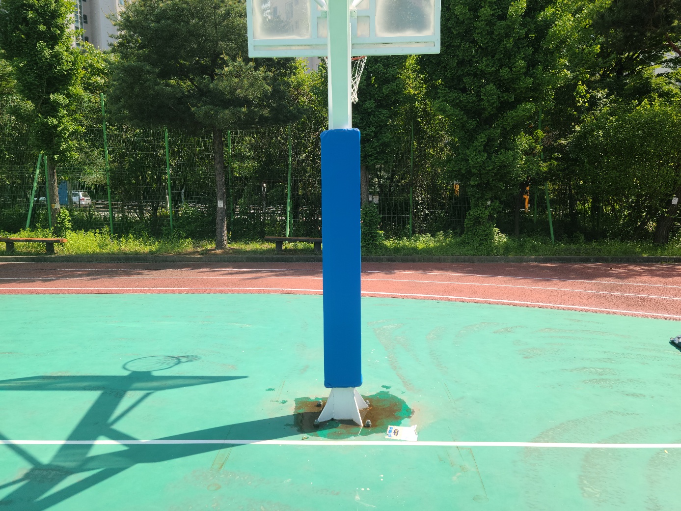 7287938c06048.jpg
