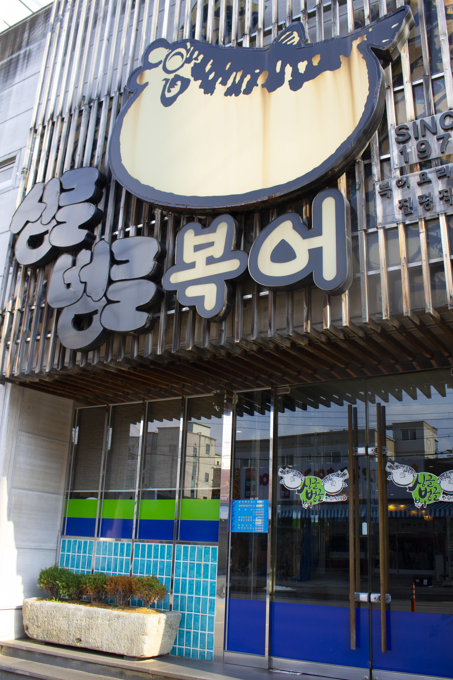 ebe83688ee8b5.jpg