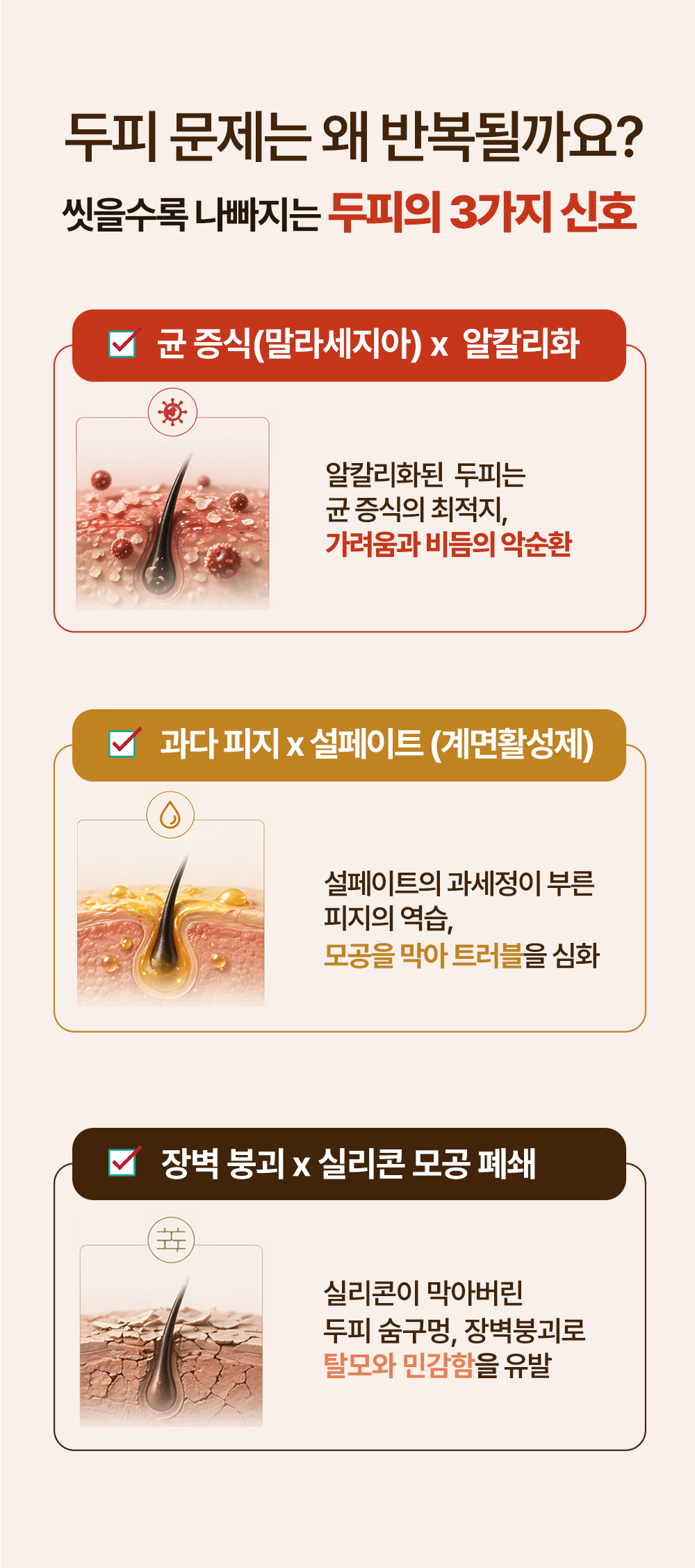 레베코코 골든드립 48K샴푸 255ml
