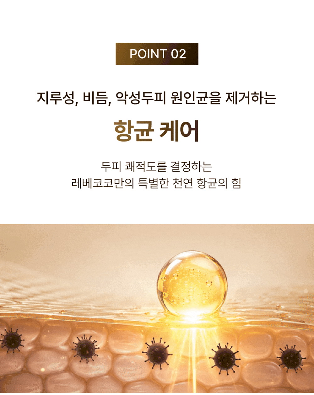 레베코코 골든드립 48K샴푸 255ml