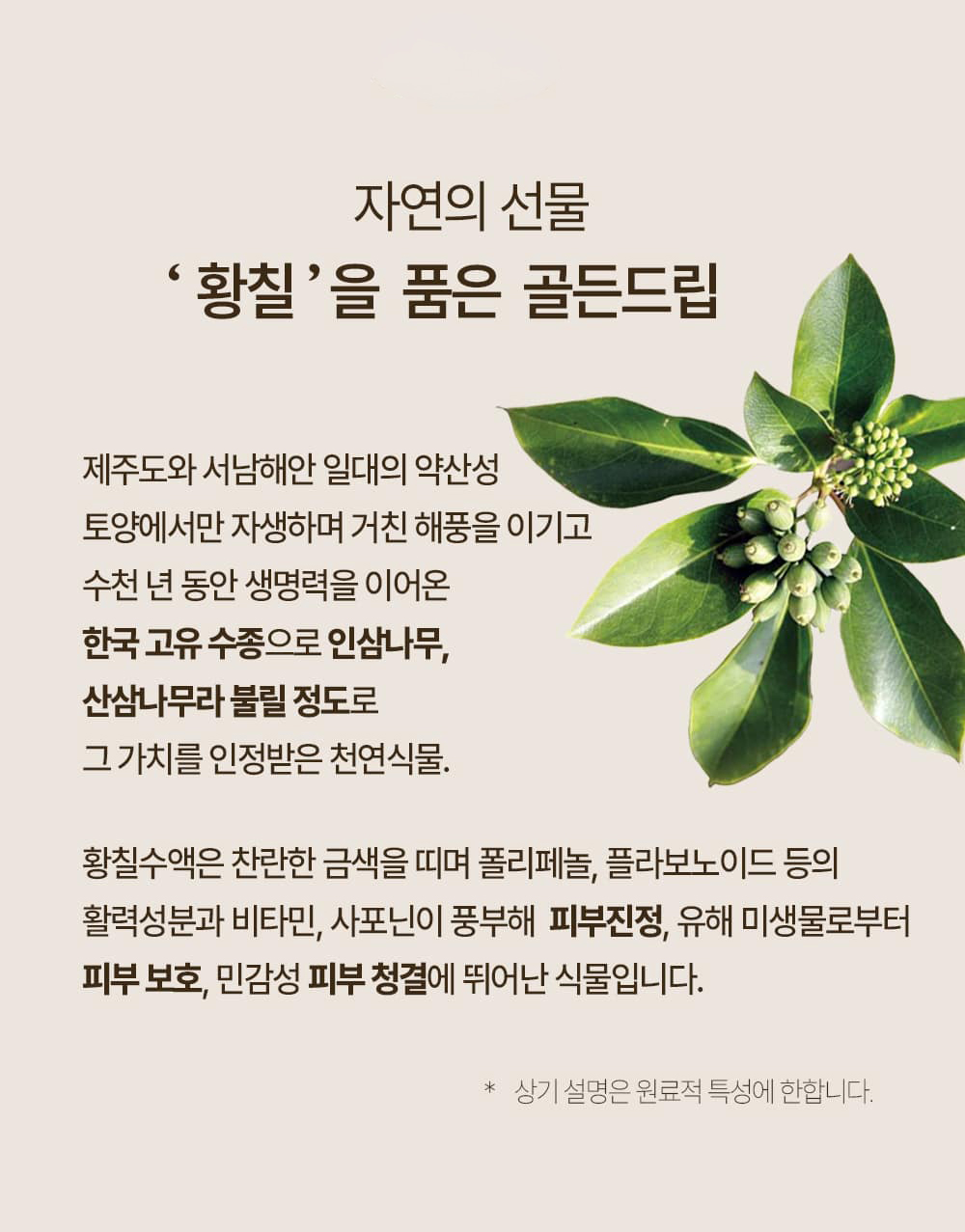 레베코코 골든드립 48K샴푸 400ml [무료배송]