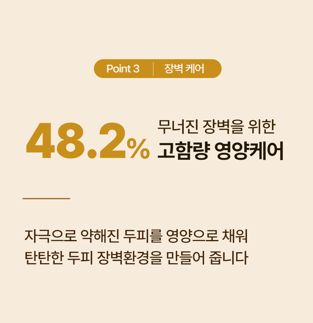 레베코코 골든드립 48K샴푸 255ml