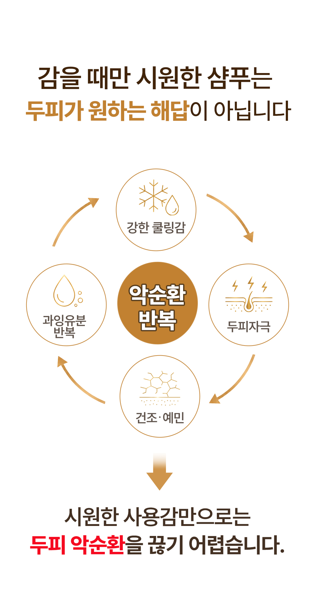 레베코코 골든드립 48K샴푸 400ml [무료배송]