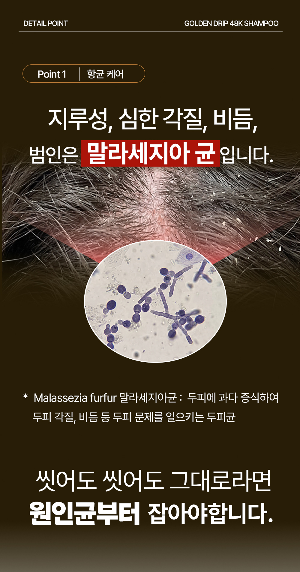 레베코코 골든드립 48K샴푸 400ml [무료배송]