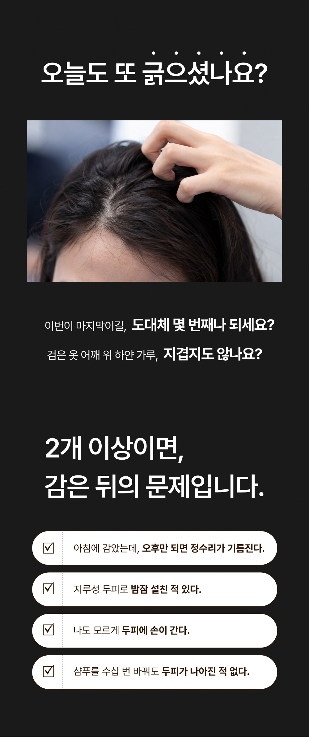 레베코코 골든드립 48K샴푸 255ml