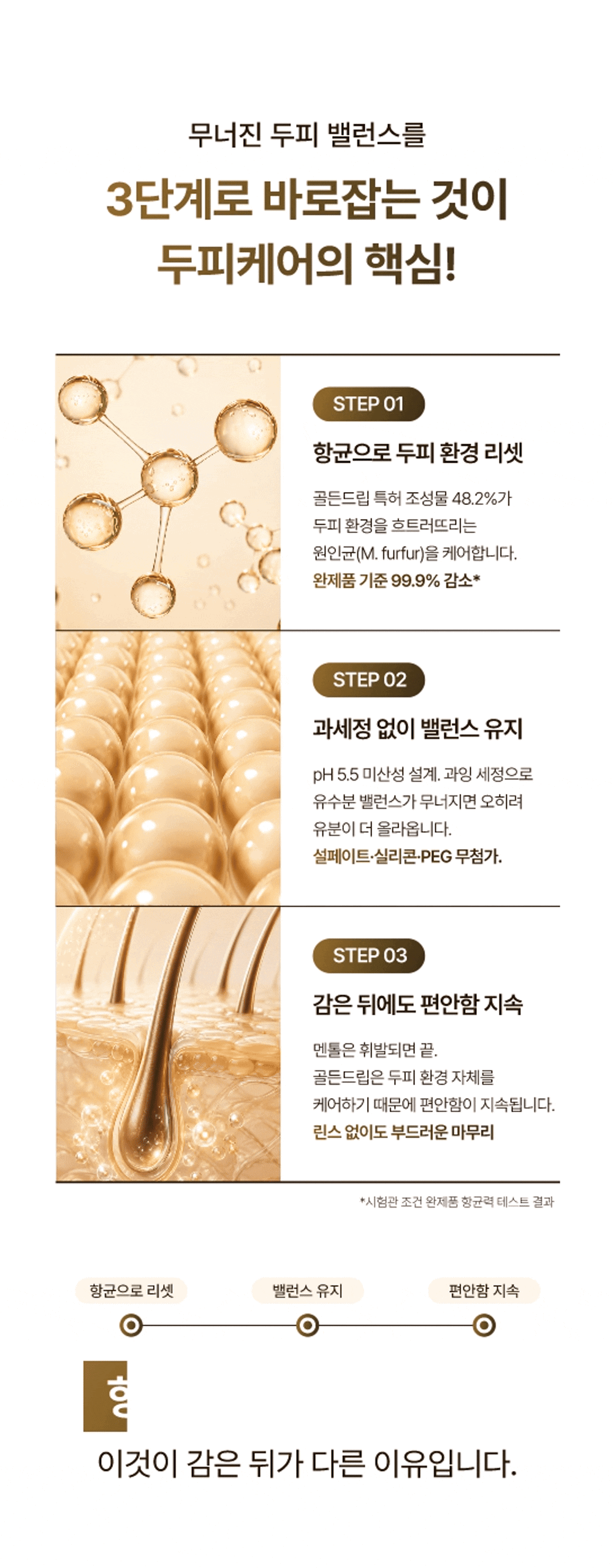 레베코코 골든드립 48K샴푸 255ml