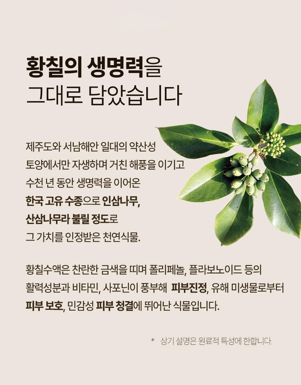 48K샴푸 400ml 3개