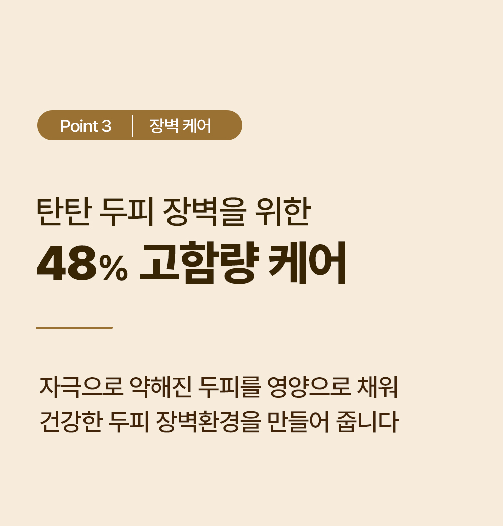 레베코코 골든드립 48K샴푸 400ml [무료배송]