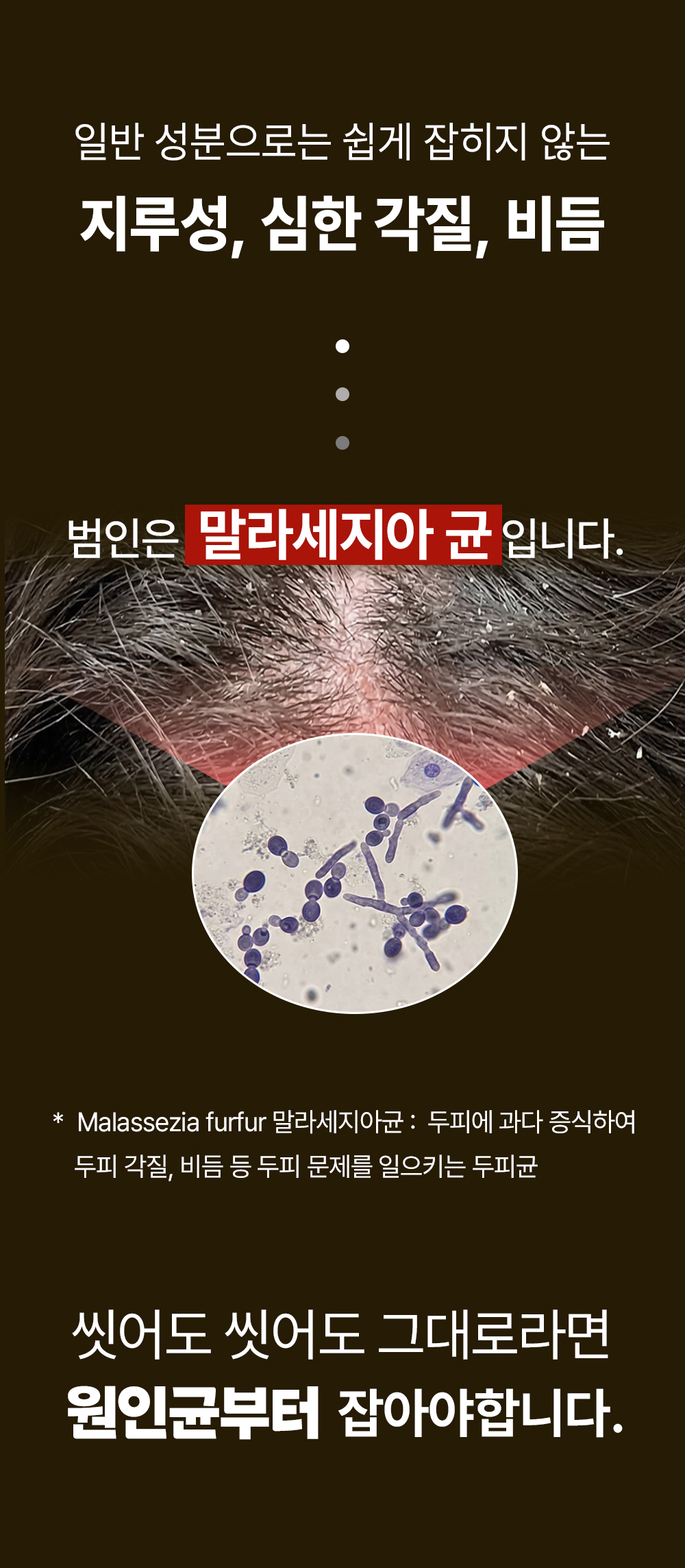 48K샴푸 400ml 3개