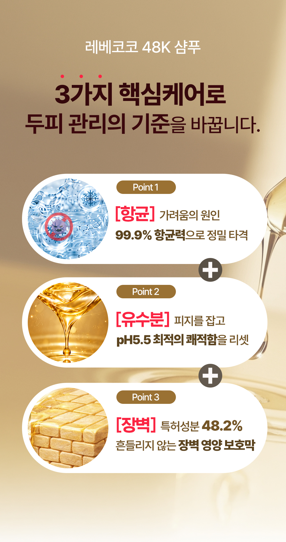 레베코코 골든드립 48K샴푸 255ml