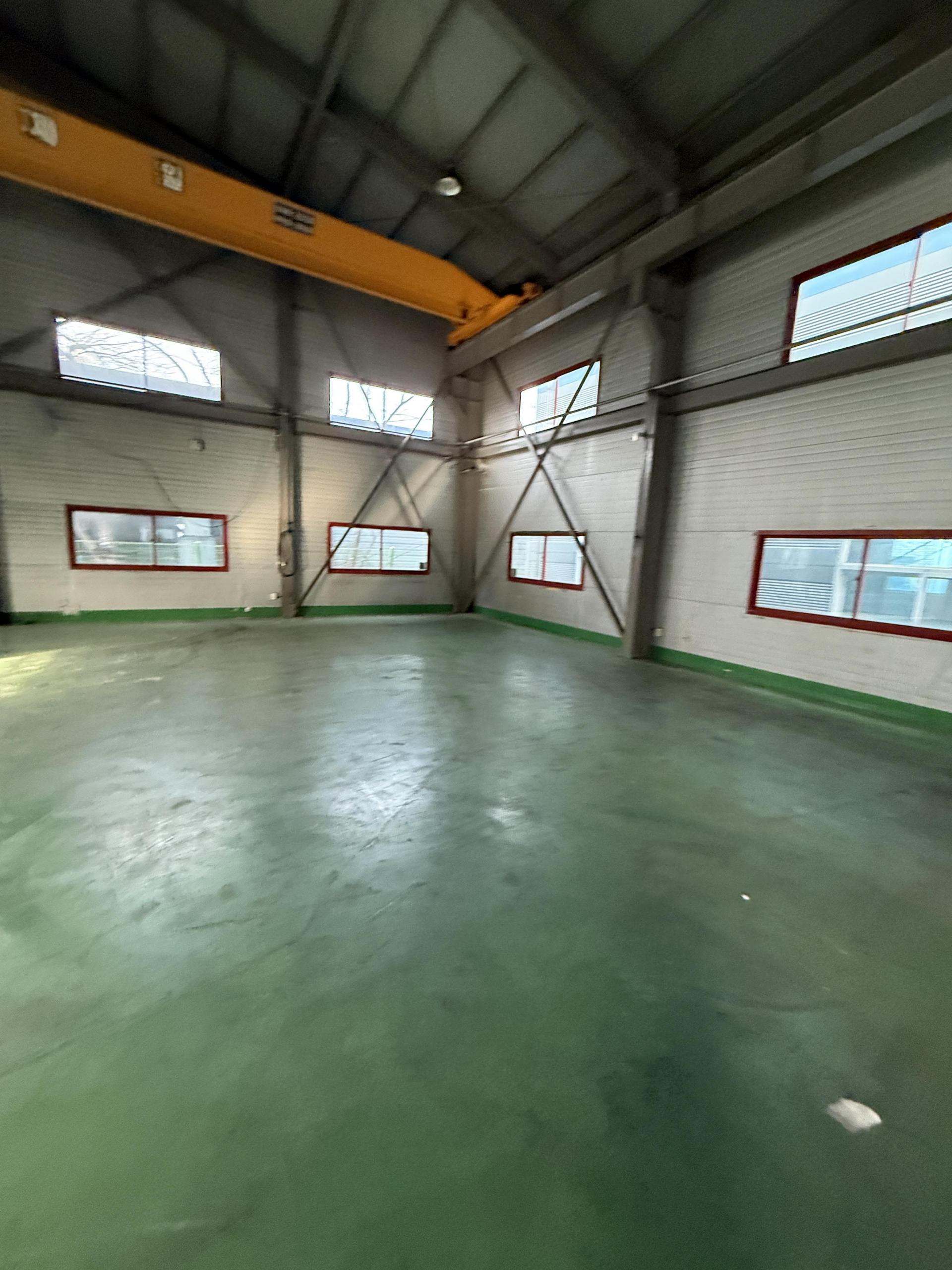 8dd229deff1a8.jpg