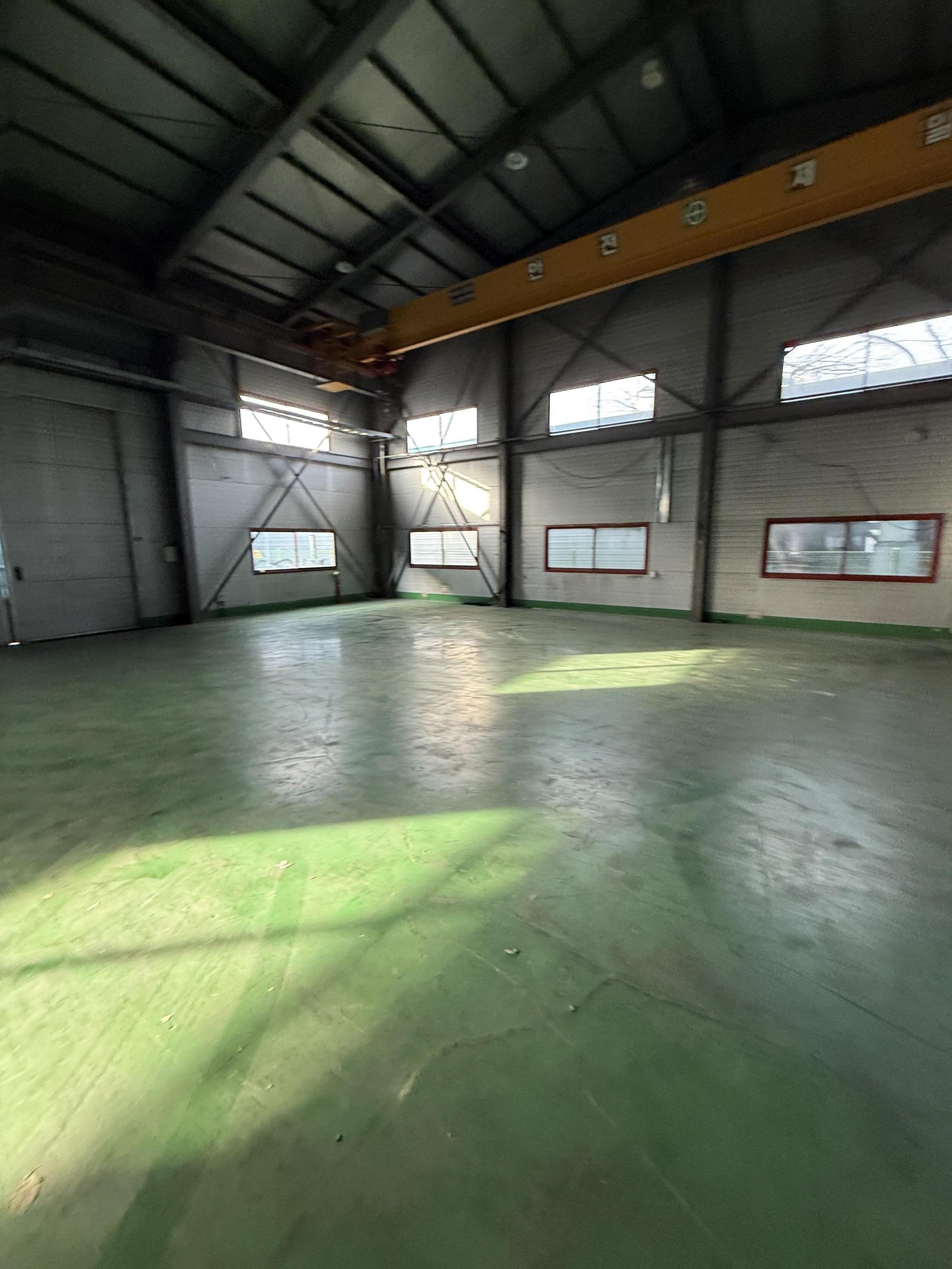 ca61b203e3690.jpg