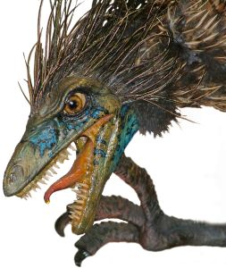 공룡에 대한 가공의 이야기들 : 과장 보도되고 있는 공룡들의 계통수 : 화석-공룡 [한국창조과학회 자료실]