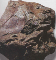 2174602cdf6f8.png