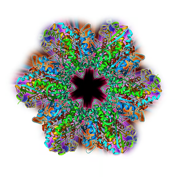 3dfe150f8d586.png