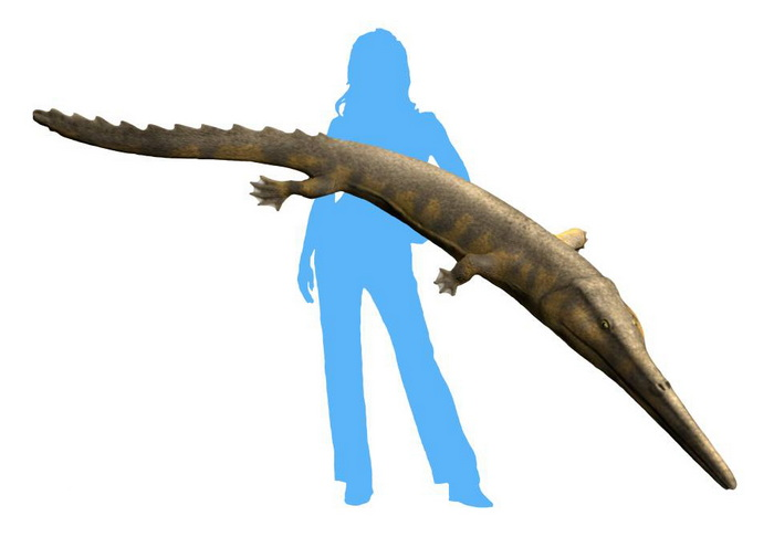 44449d7bb1c47.png