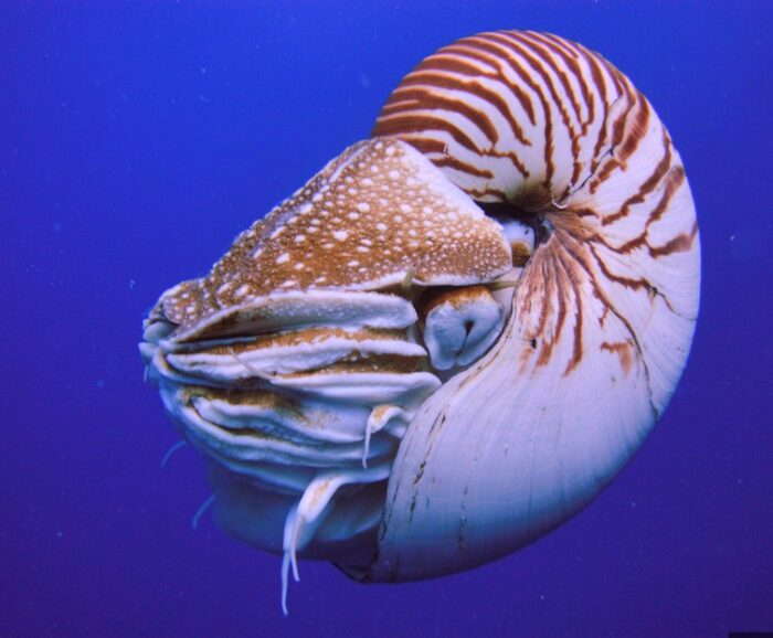 5f0818d7c8b66.png