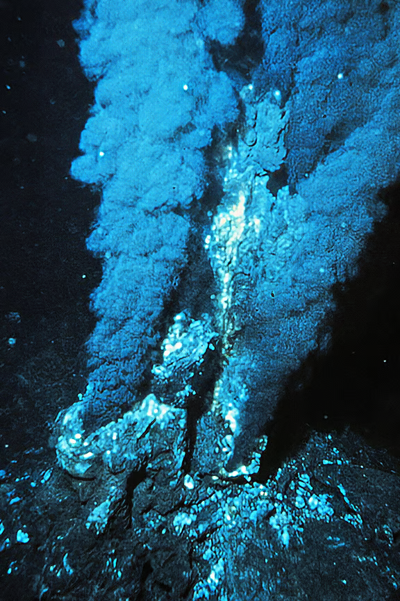 622d2a0686420.png
