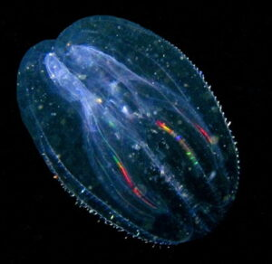 7fdd126f3c67e.png