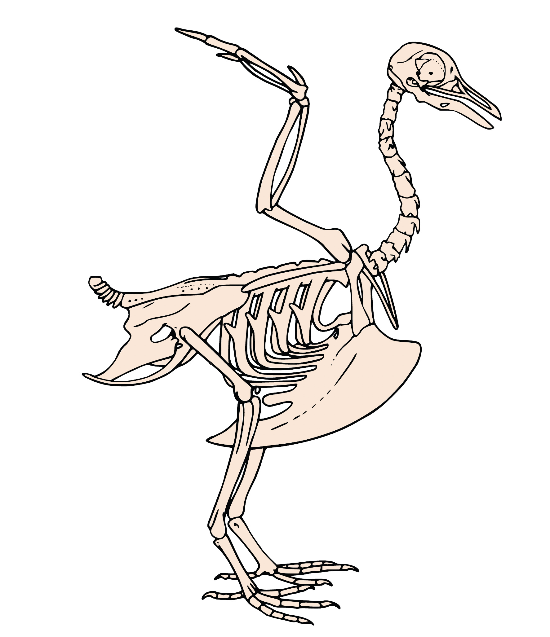 8514e9aa72196.png