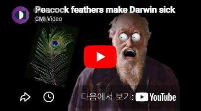 9d1c7cb9765d0.png