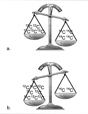 c1a080eaf5783.png
