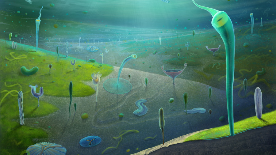 c493e131df840.png
