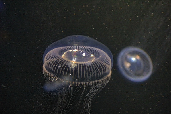 c59d113a33266.png