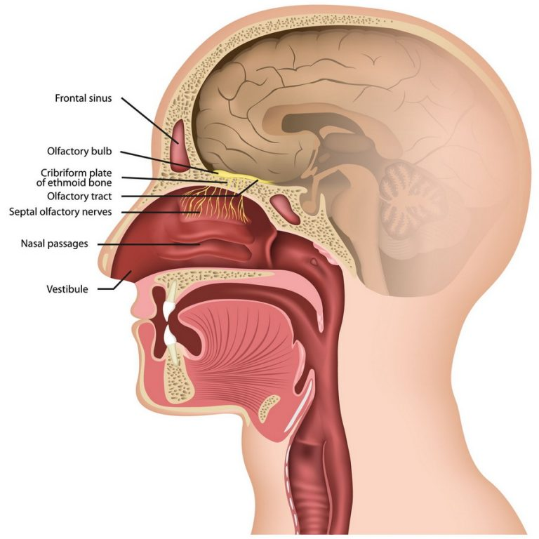 ecf7798aa2713.png