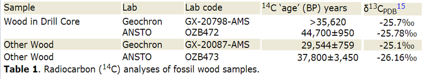 ff30afd5000dc.png