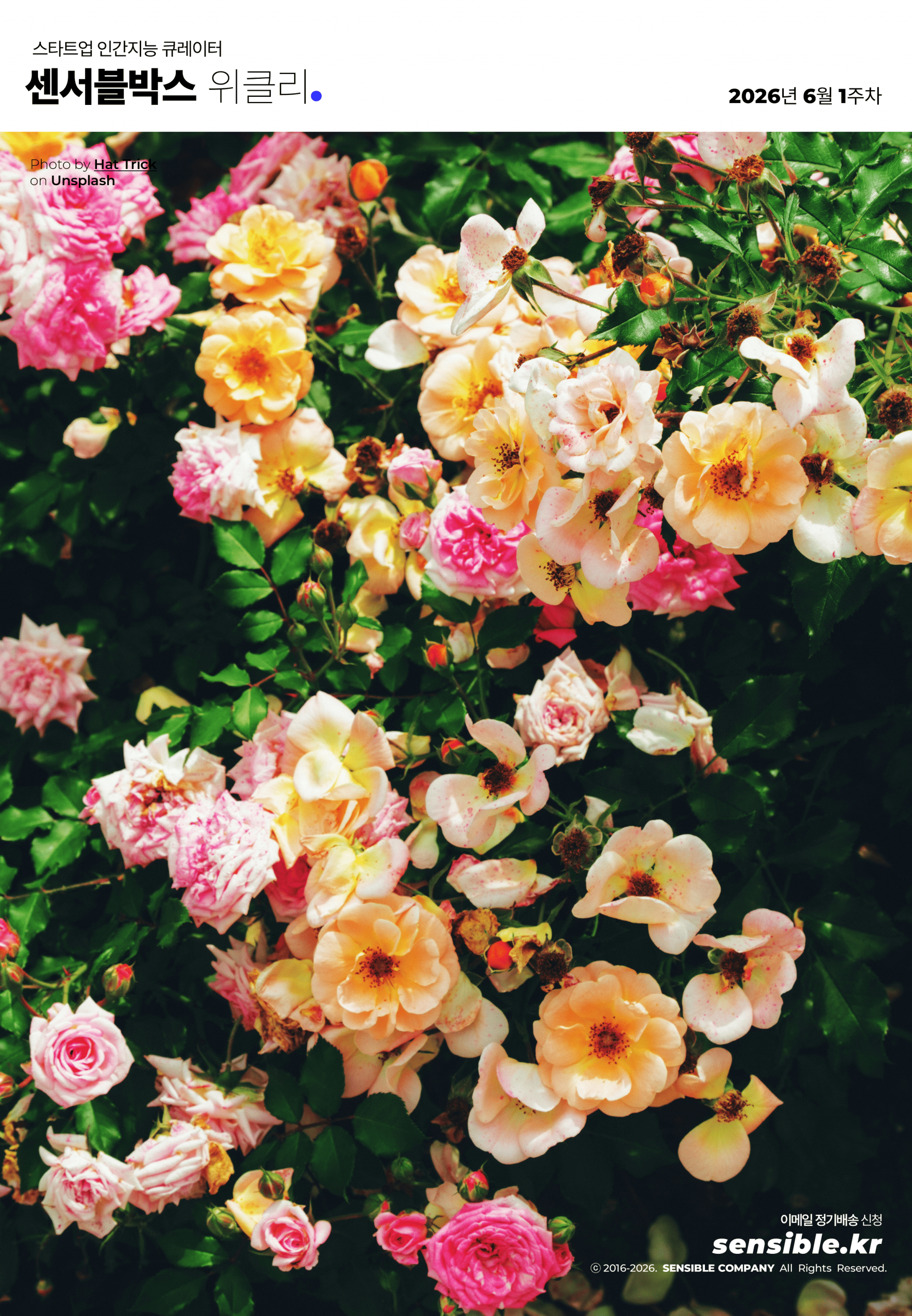 b84a51d0a195f.png