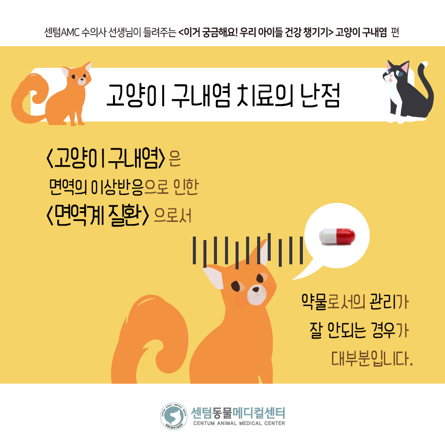 27027cf1667fe.jpg