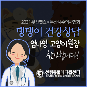38de60f25a595.jpg