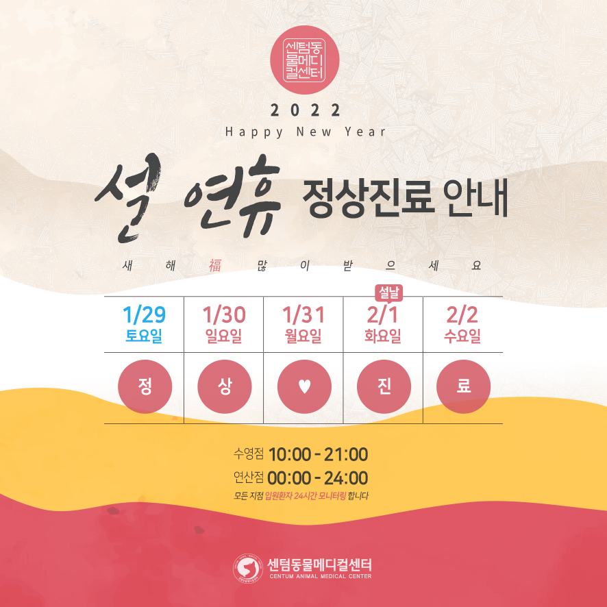 41d050dea02ff.jpg