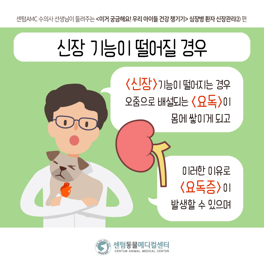 4eec810388a9d.jpg