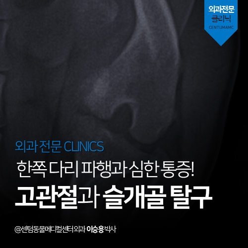 b390651272296.png