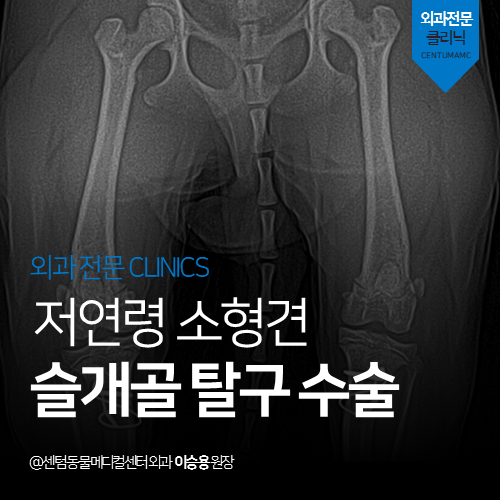 beac931177c1d.png