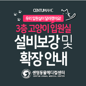 c2fd6dd646629.jpg