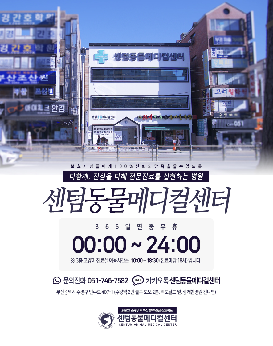 d1e89e6d709fb.jpg