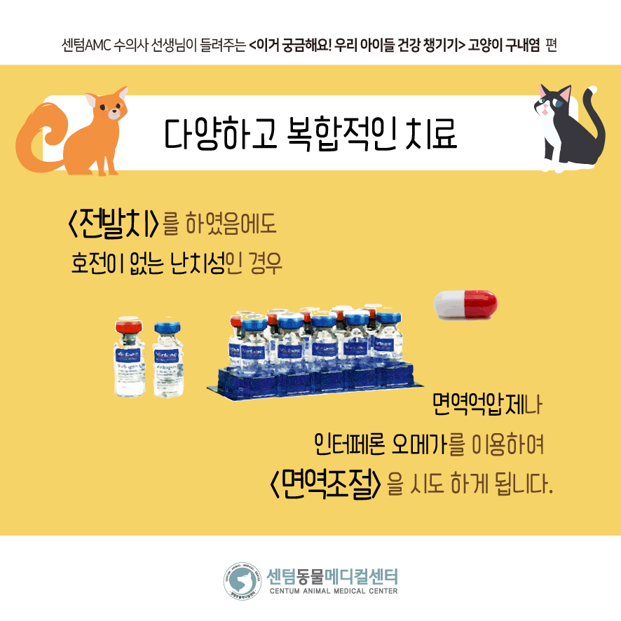 eaafc5bc40ab3.jpg