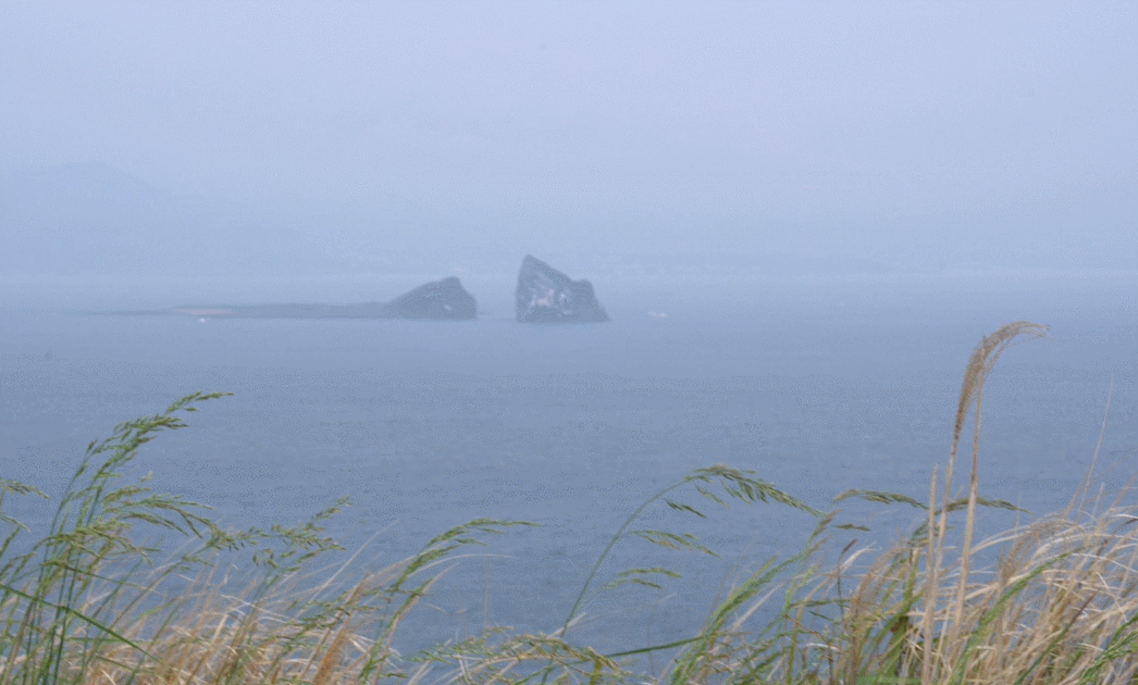 a23ea7e7ddbfd.gif