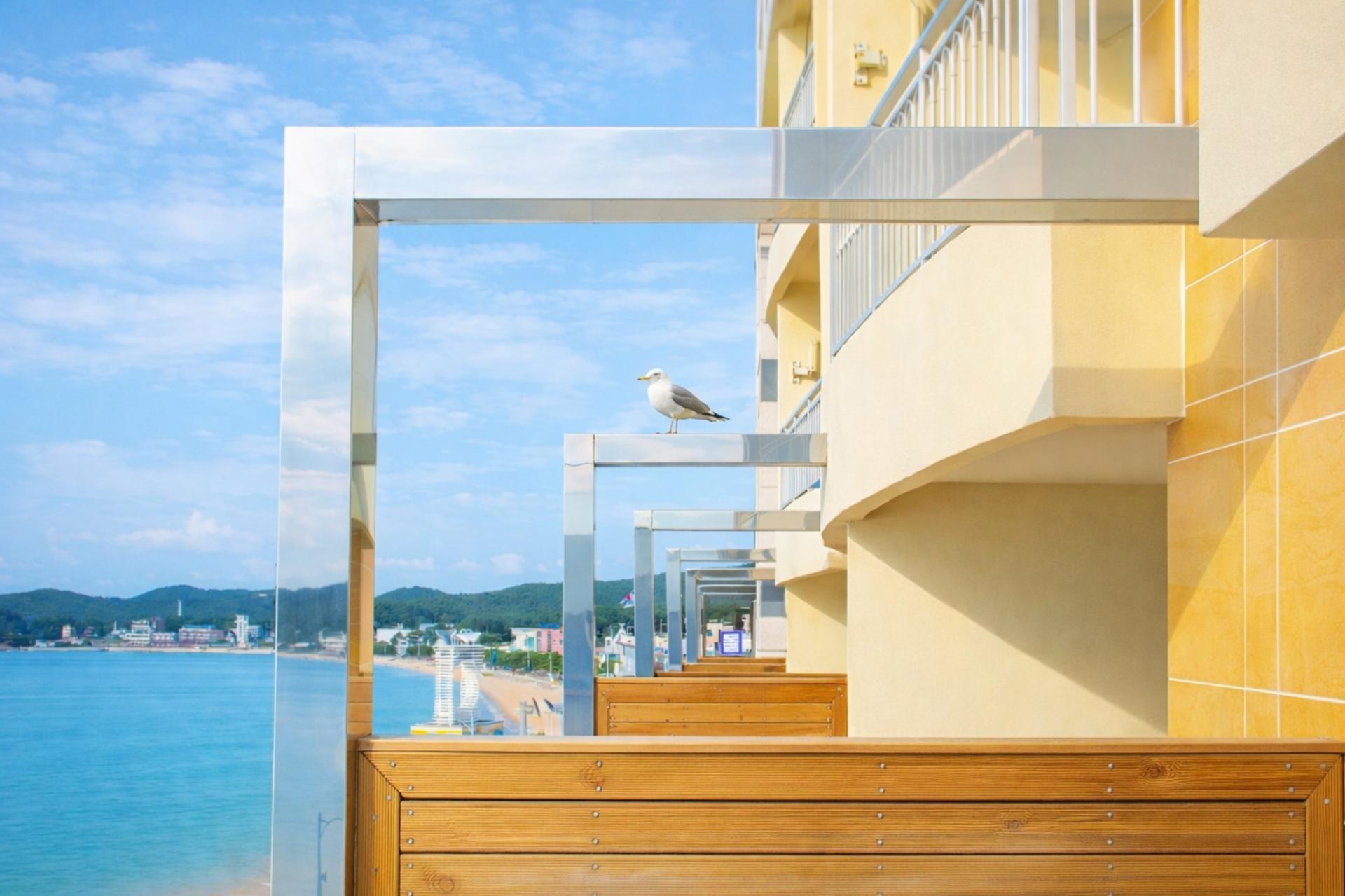 롱비치패밀리호텔 메인 비주얼 5