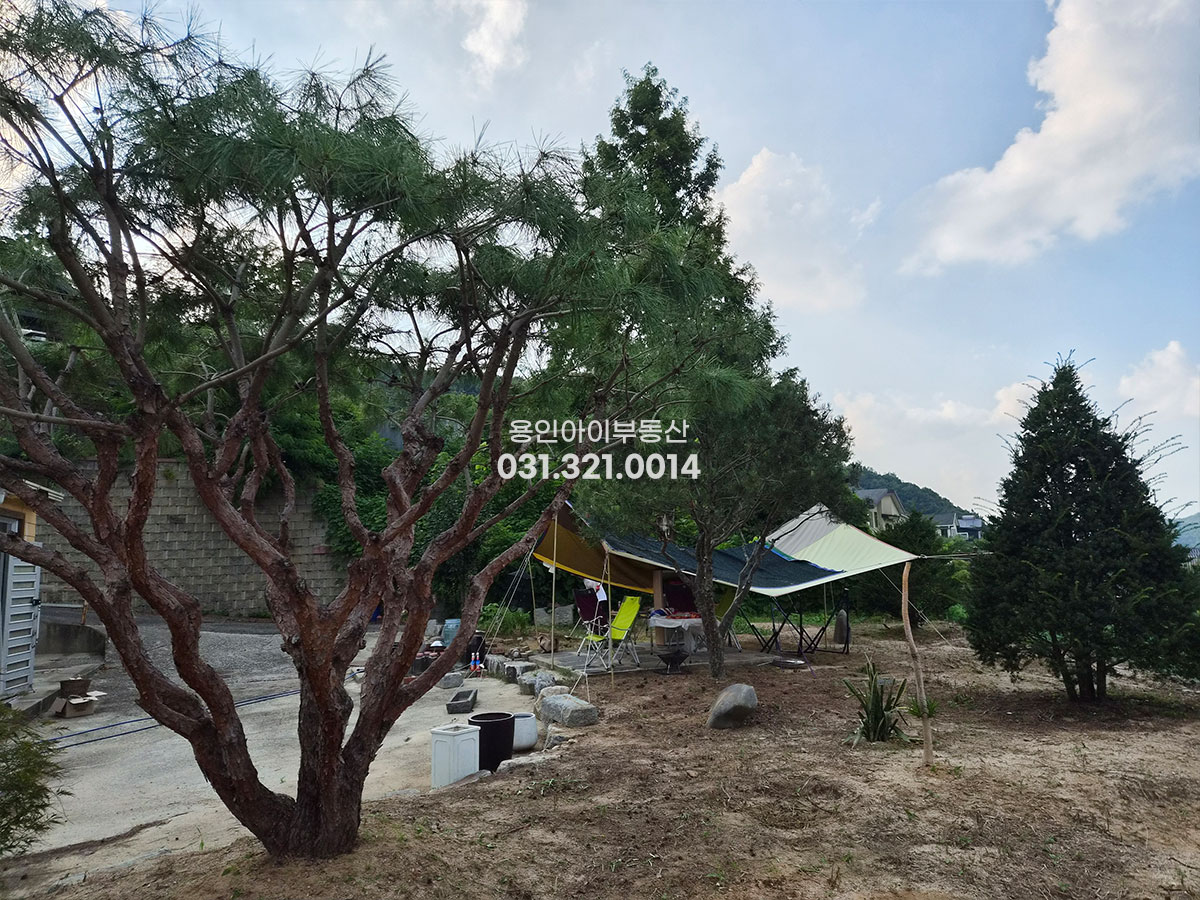No.3976] 용인전원주택 양지 송문리 탁트인뷰, 도심가까운 숲세권 전원생활~ 방4 2세대거주가능, 200평 넘는 넓은 대지, 철콘, 직관, 멋진조경