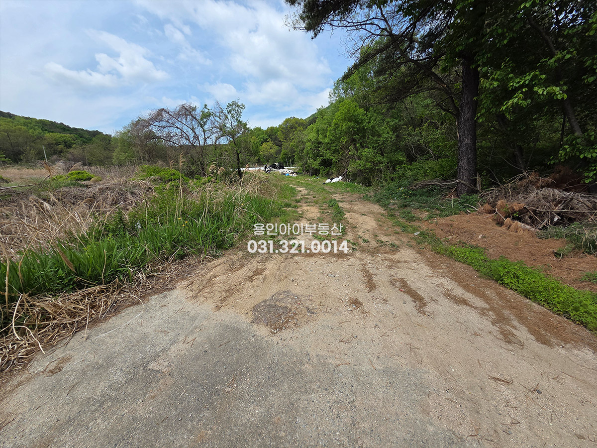 No.3821] 용인토지매매 백암면 가창리 생산관리 823평 평당50, 원삼SK하이닉스 6km, 조용한 숲세권