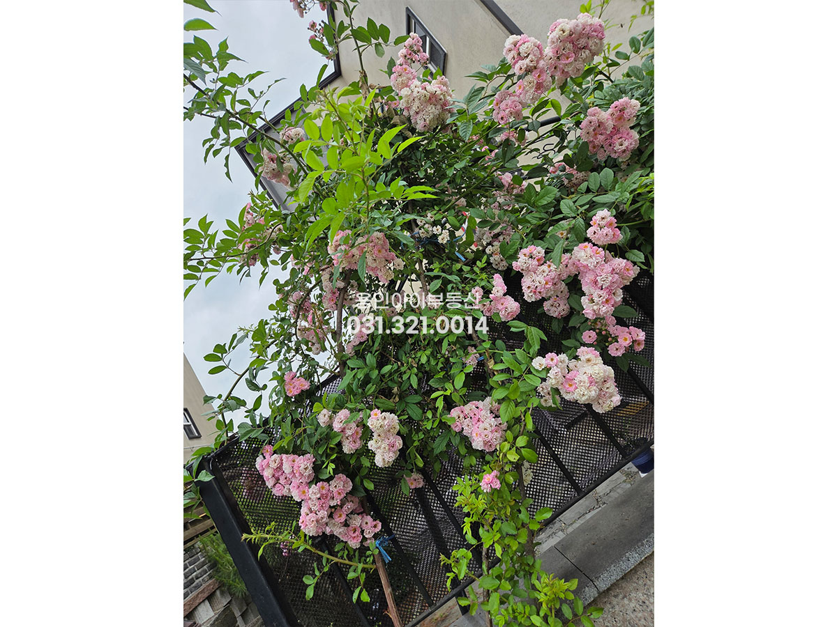 No.3935] 용인전원주택매매 처인구 김량장동 더숲어숲 3억대 소형타운하우스, 도시가스, 개별마당, 1층 방, 다락, 주차2대, 용인시내권 대단지 타운하우스